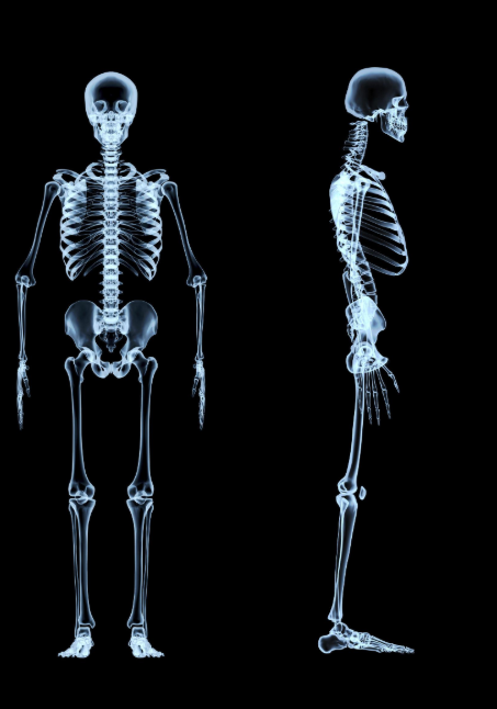 Digital X-Ray in Pune